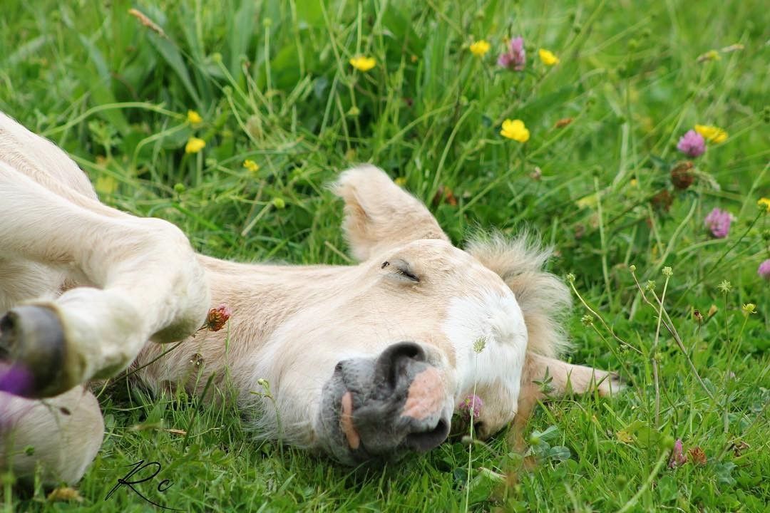 blockValue.a0890b4d-d70d-4e4d-a740-87037dea1197.image.4.img_alt