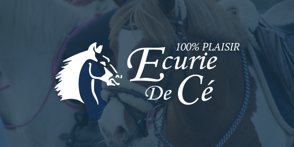 Image de Halloween Party de 7 à 15 ans 