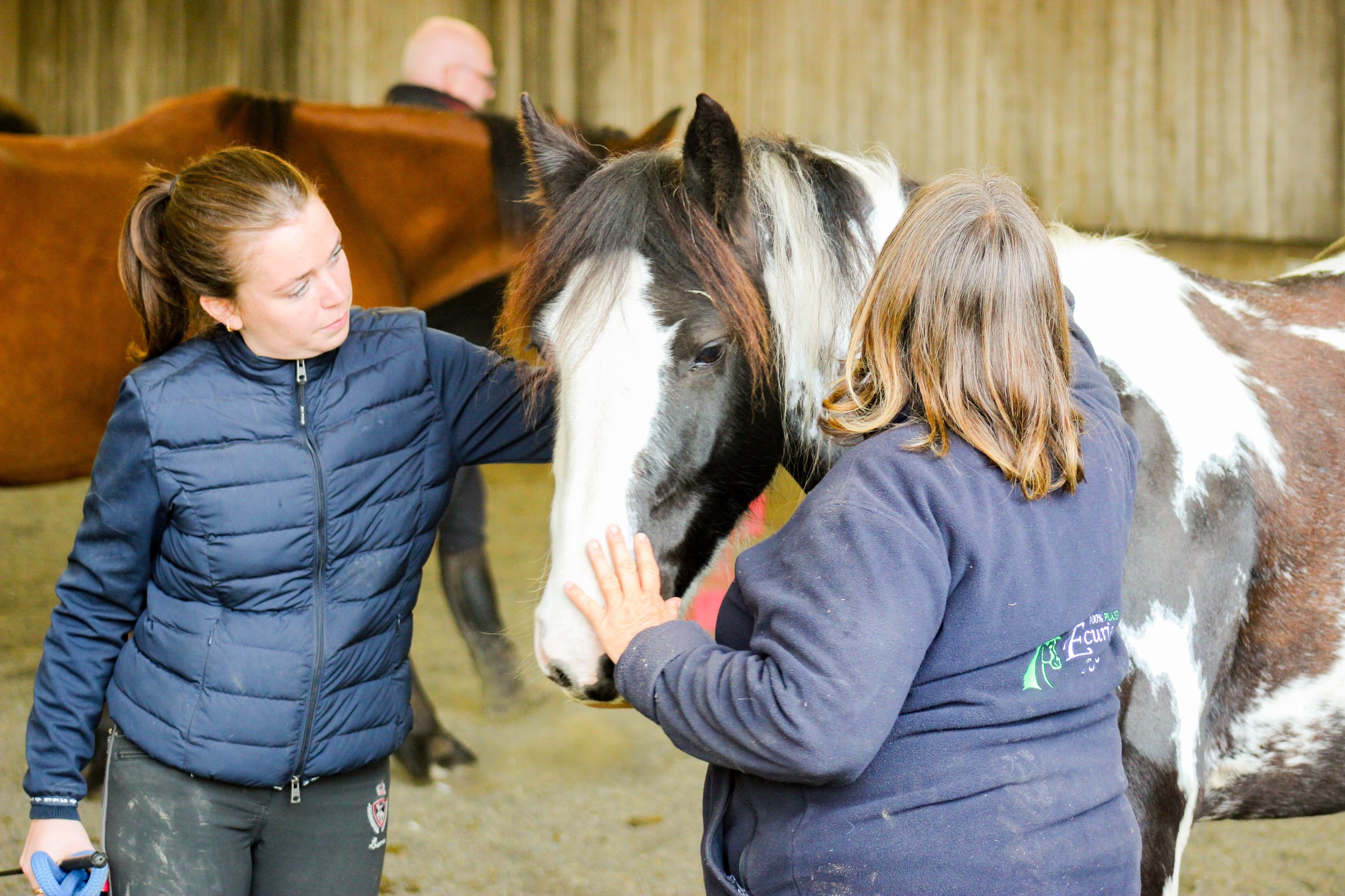 Image de Découverte de l'équitation pour adultes et ados débutants ou sachant juste trotter et galop 1 - 2 pas montés depuis longtemps