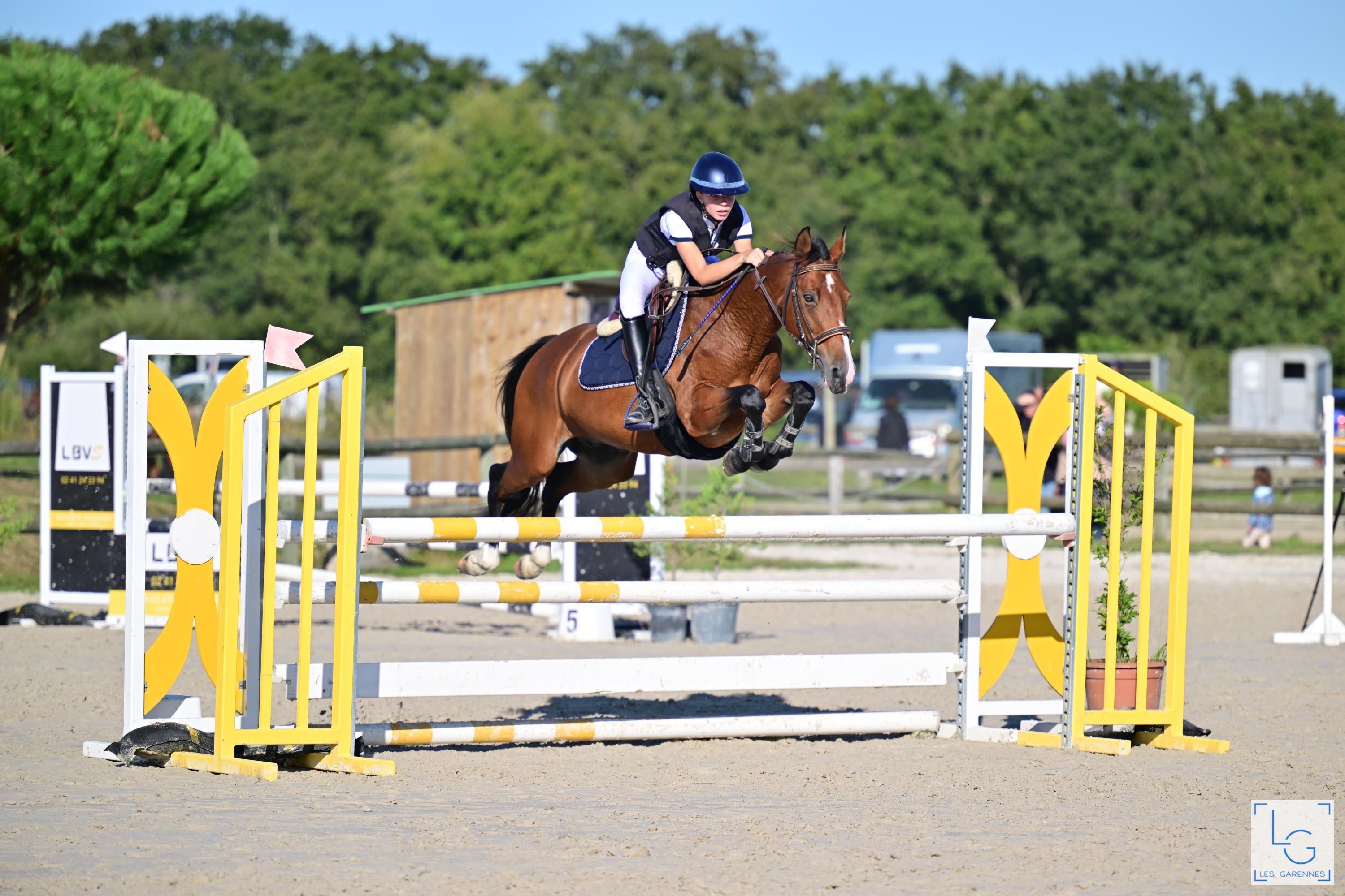 Image de Stage perfectionnement Galop 5 à 7 