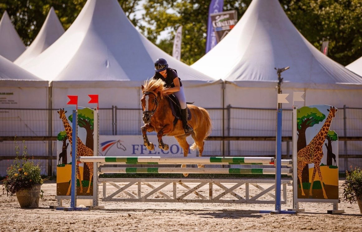 Image de STAGE CSO COMPÉTITION P2-Pélite AVEC MARIE