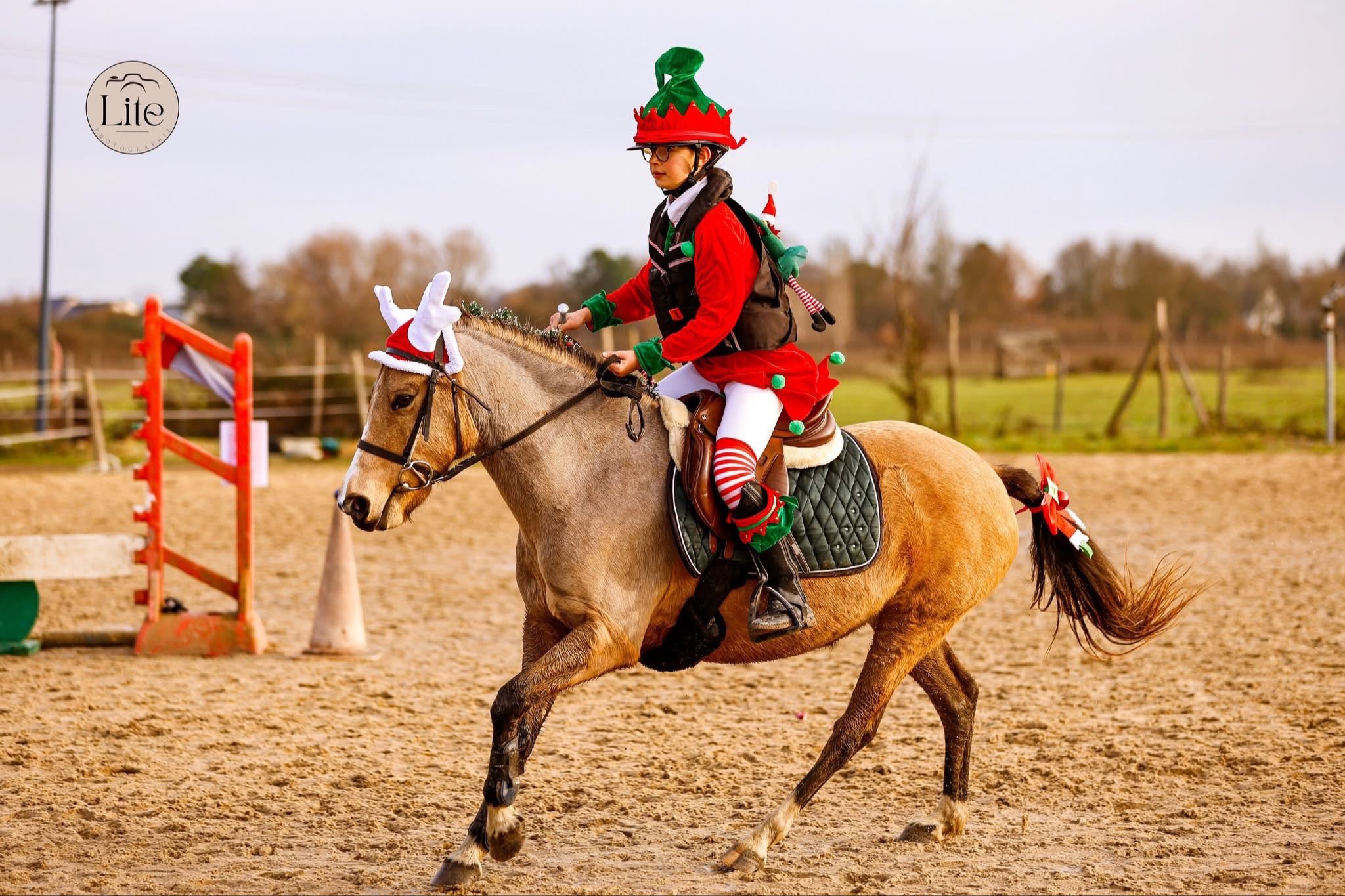 Image de Concours de Saut d'Obstacle interne spécial Noël