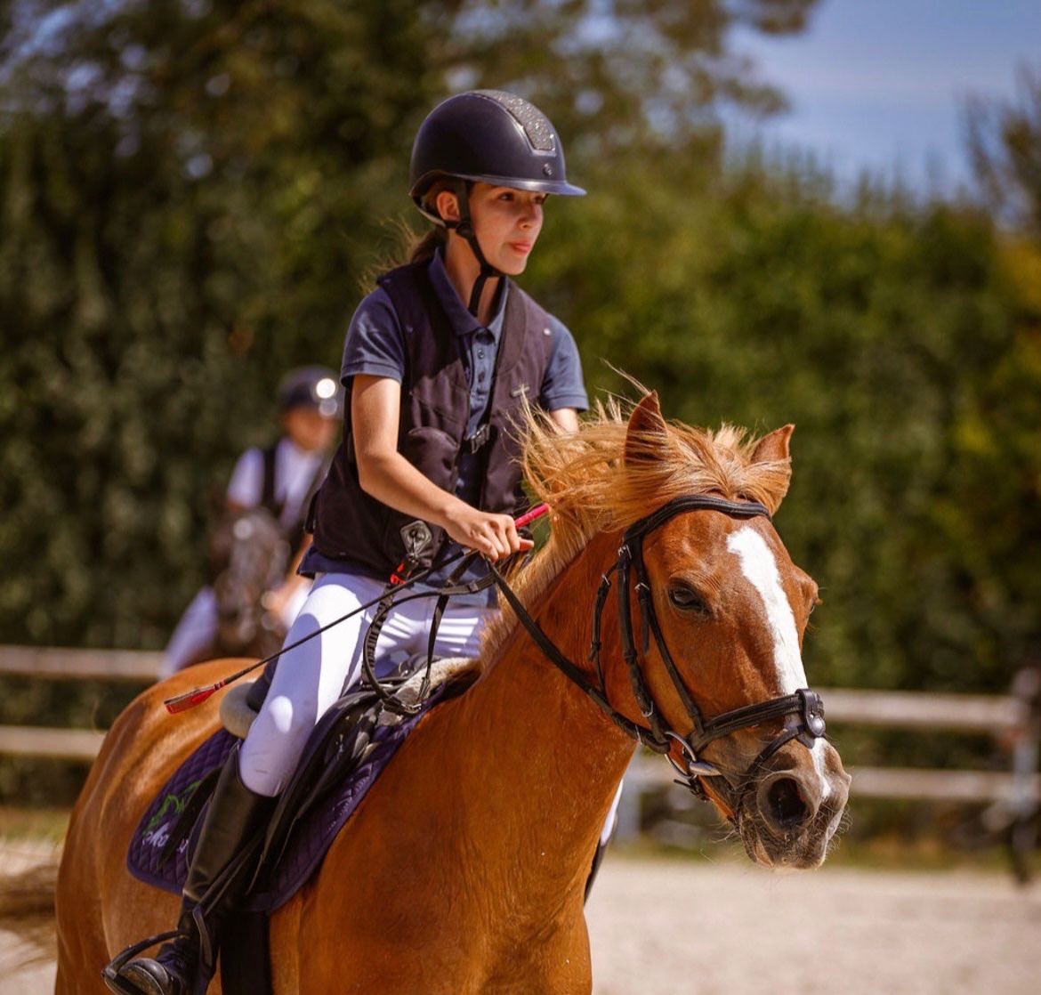Image de Stage préparation et passage du galop 1 et/ou du galop 2 et/ou galop de bronze à galop d'or