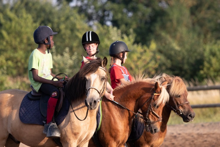 Image de Stage Initiation à l'équitation 7 à 14 ansde 13h30 à 15h30 