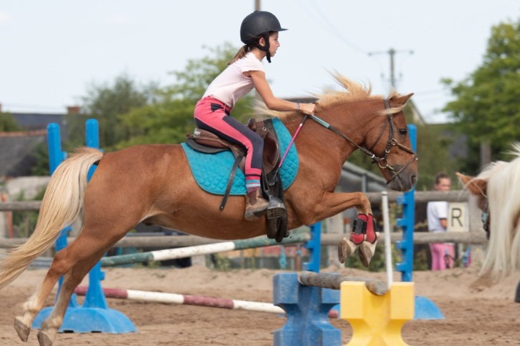 Image de Concours Interne Ecurie de Cé