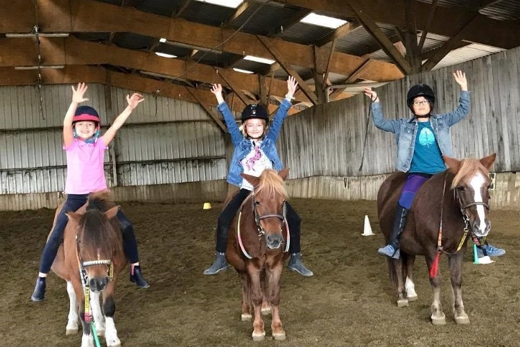 Image de Stage Baby Poney