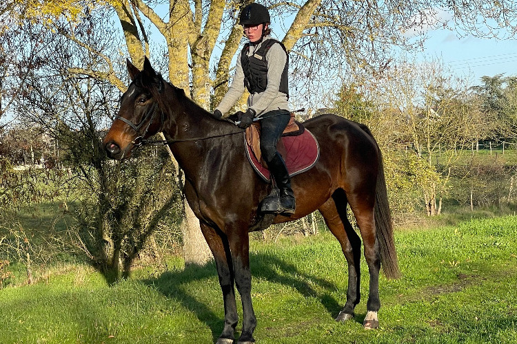 Image de Stage adultes galop 1