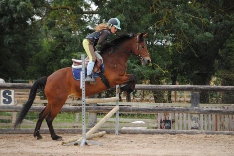 Image de Stage de 2 jours à poney tous ensembles à partir du galop 2