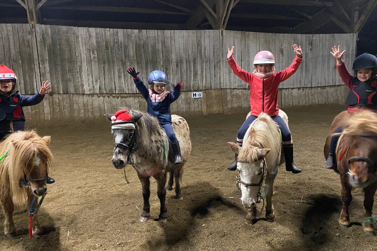 Image de Découverte du poney pour enfants de 3 à 6 ans