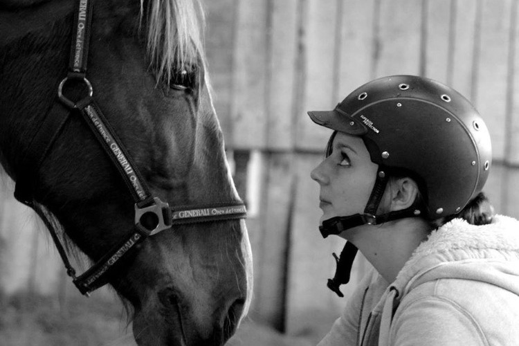 Image de Stage  éthologie et passage des savoirs 1 et 2